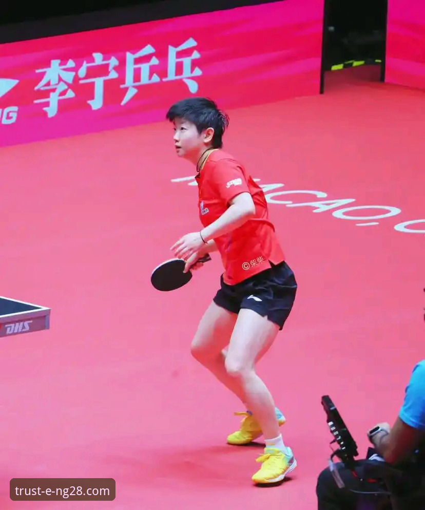 NG28热门游戏对比 如何像孙颖莎掌控比赛一样,在NG28平台找到你的制胜游戏?